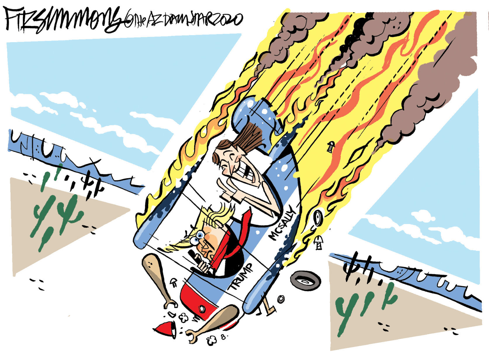 Daily Fitz Cartoon: McSally